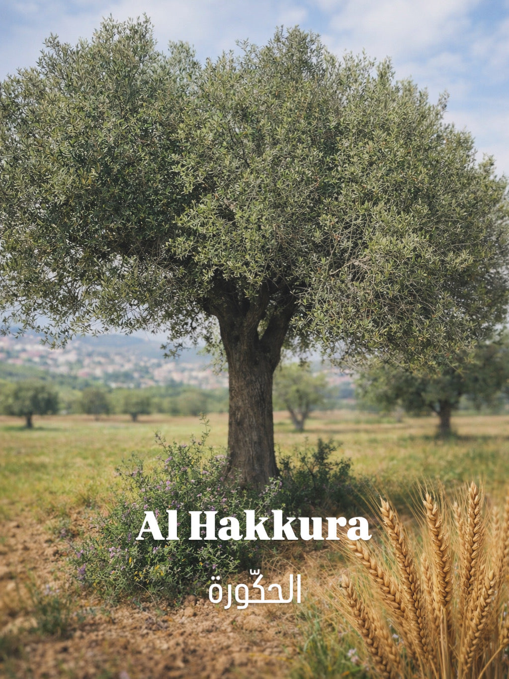 Al Hakkura-الحكّورة